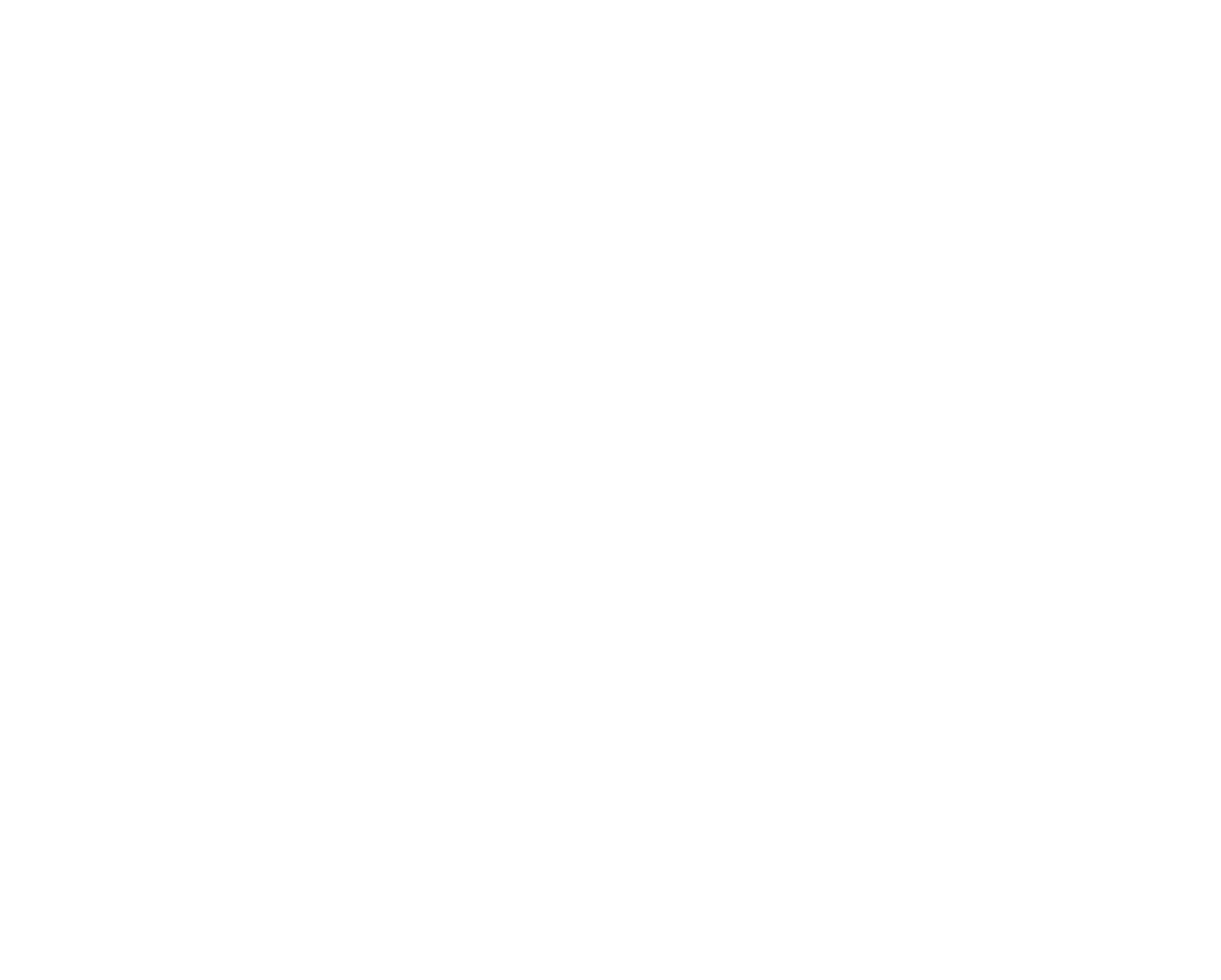 STW Logo Isotype