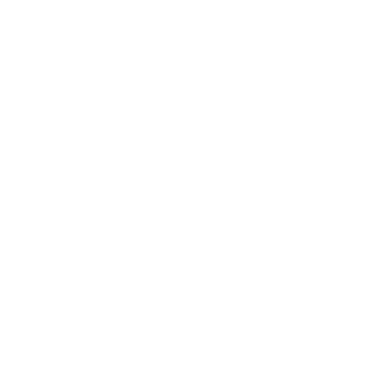 STW Logo white